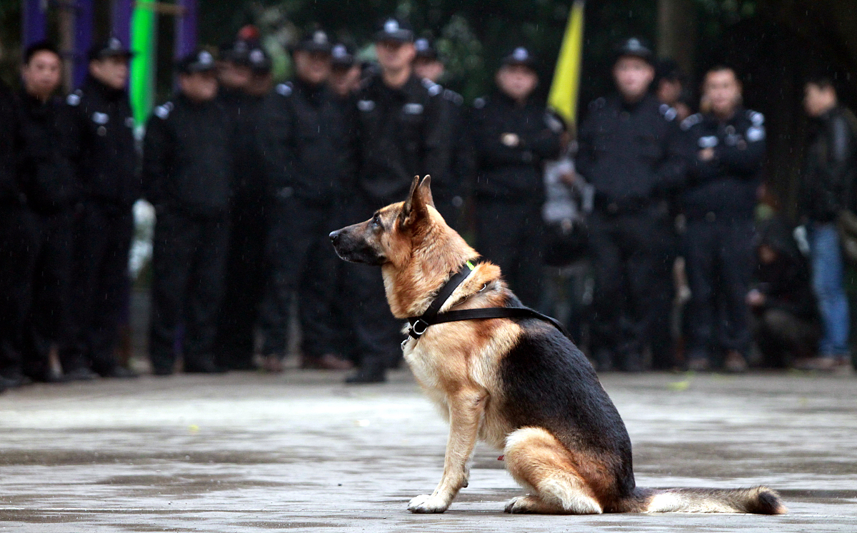 九游体育-包含多伦多猛龙训练开放日,国际比赛日战术微调引欢呼,德国杯在即,球探报告显示潜力的词条-九游体育